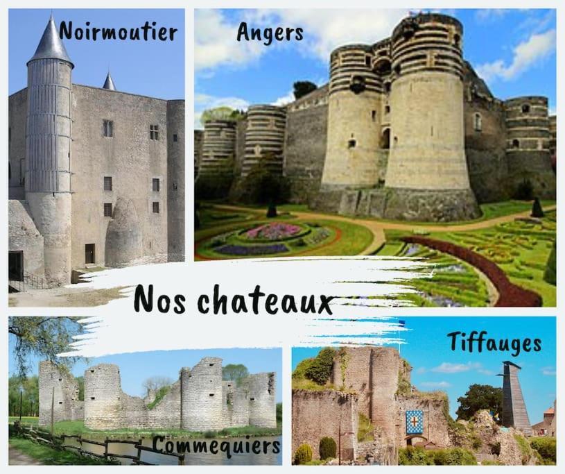 L'Eclat Travot Central Lumineux Vue Sublime Cholet Eksteriør billede